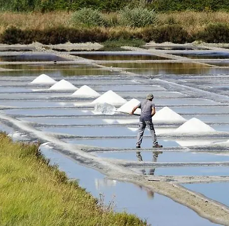 Duplex Sur Piscine Proximite Parking 5 Pers Max شقة