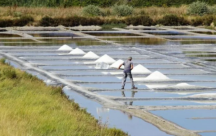 Duplex Sur Piscine Proximite Parking 5 Pers Max Apartmán