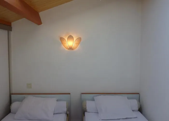 Duplex Sur Piscine Proximite Parking 5 Pers Max *